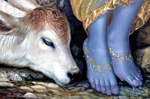 divine feet of lord krishna