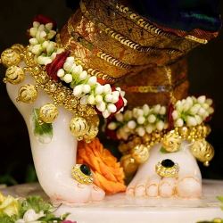 The Lotus Feet of The Lord krishna